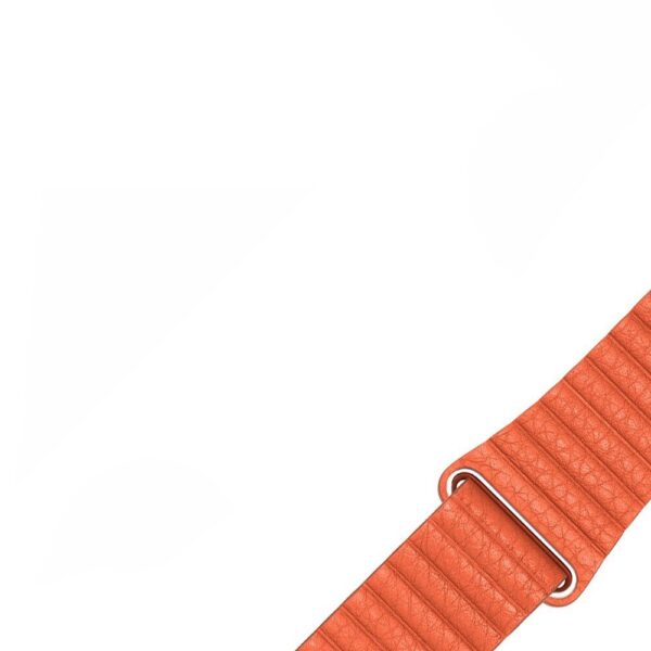 Dây da Apple Watch Leather Loop Series 4 Series 3 Cam